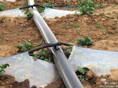 膜下滴管帶(dài) 膜下滴管帶