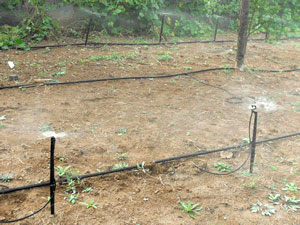 內（nèi）蒙古節水灌溉