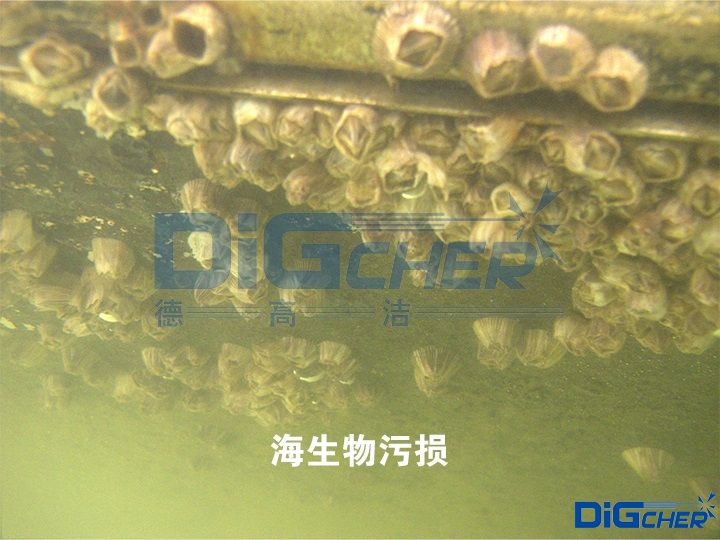 海生物（wù）汙損