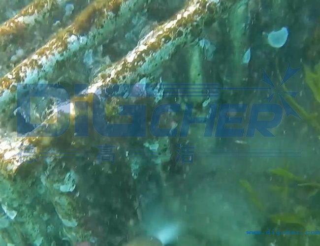 水下養殖網箱清（qīng）洗技術